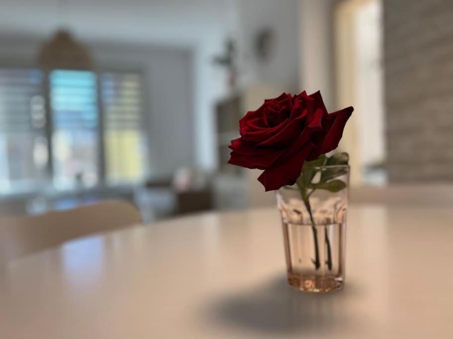 Family Friendly Downtown Apartment Sofia